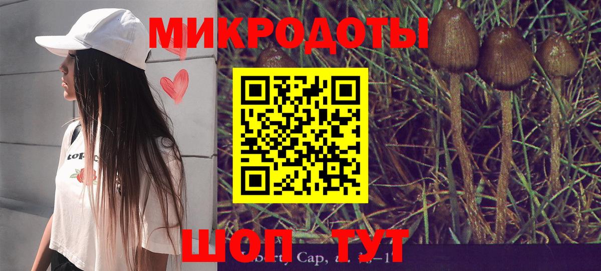 Псилоцибиновые грибы Cubensis Новодвинск